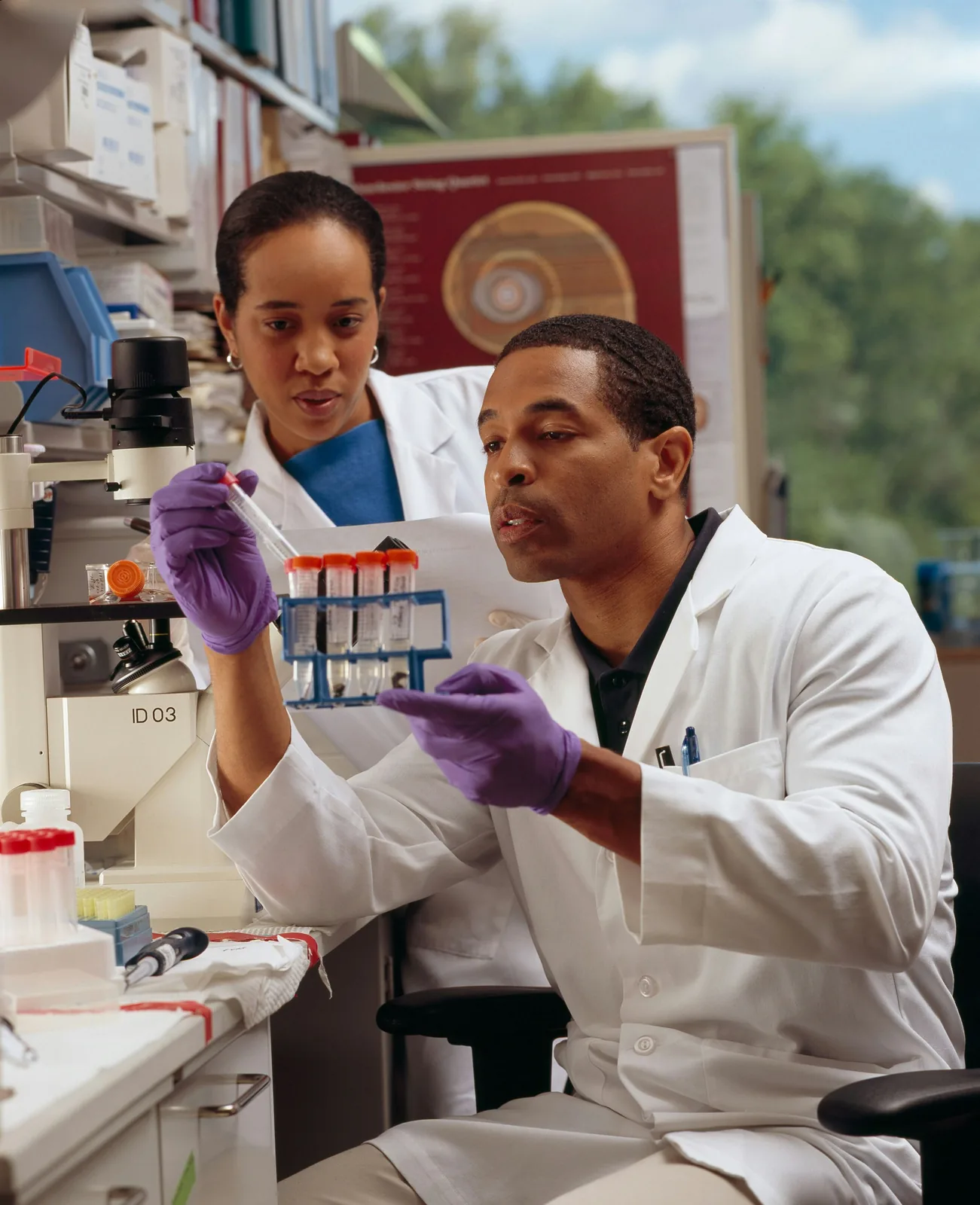 Blood tubes being checked in a laboratory